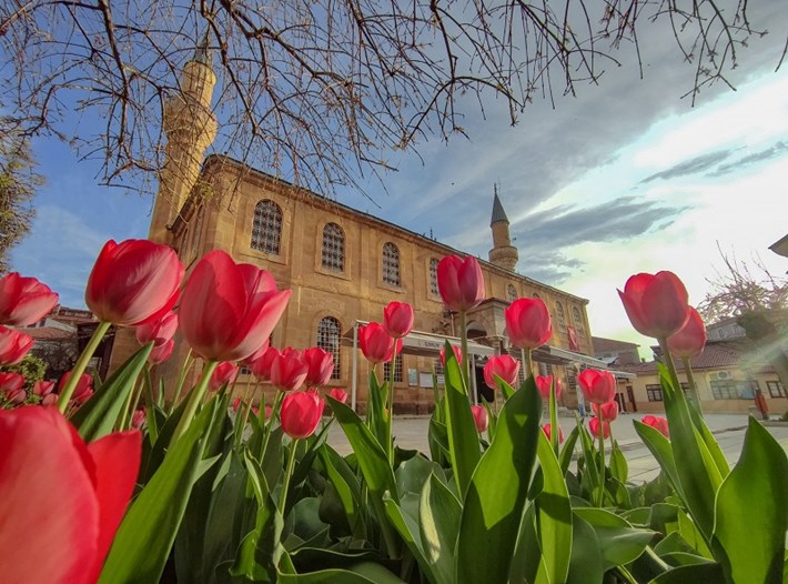 2.lik-_d_l_-baharda__orum_4_Muhammet-Ra_it-Bolat_2428x1800