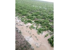 Ovasaray’ı dolu vurdu