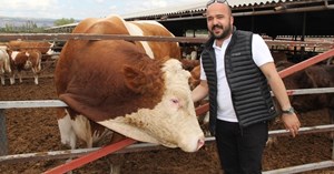 Dev kurbanlık görenleri şaşırtıyor