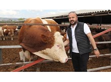 Dev kurbanlık görenleri şaşırtıyor