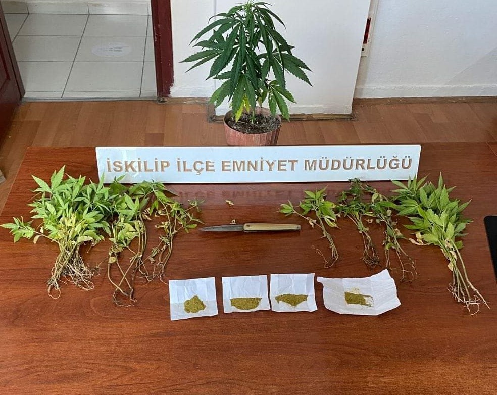 İSKİLİP POLİSİNDEN UYUŞTURUCU OPERASYONU BİR EVDE 55 KÖK HİNT KENEVİRİ VE 10 GRAM ESRAR MADDESİ ELE GEÇİRİLDİ