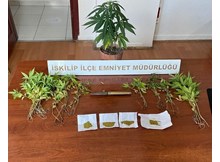 Hint keneviri ve esrar ele geçirildi