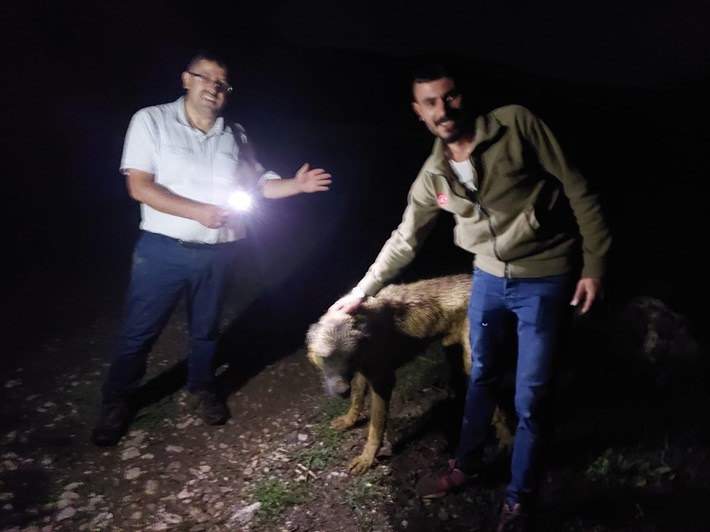 DEFİNECİLERİN KAZDIĞI ÇUKURA DÜŞEN KÖPEK KURTARILDI