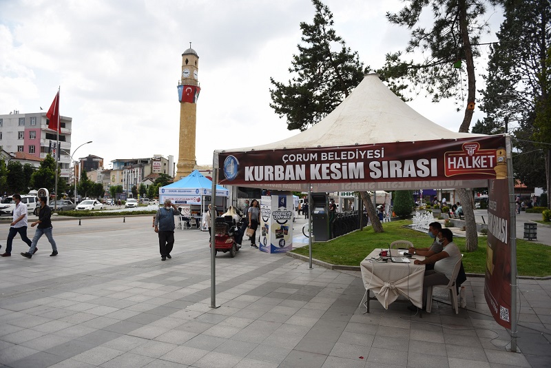 DSC_6012_2397x1600