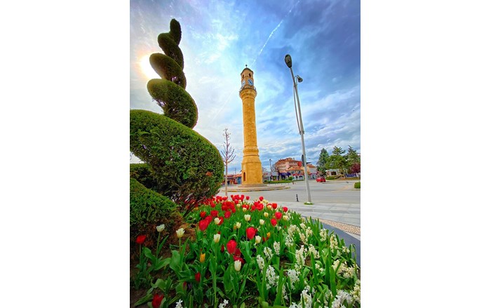 Mansiyon_agac_Kaan-Kep_eli_1350x1800