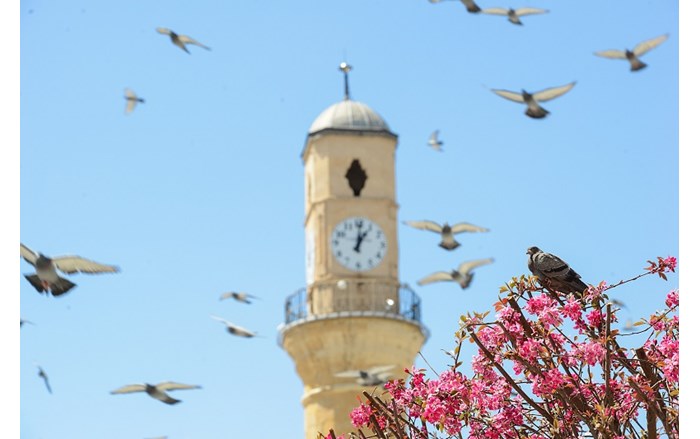 Mansiyon_bahar_Reyhan-Erdem_2700x1800