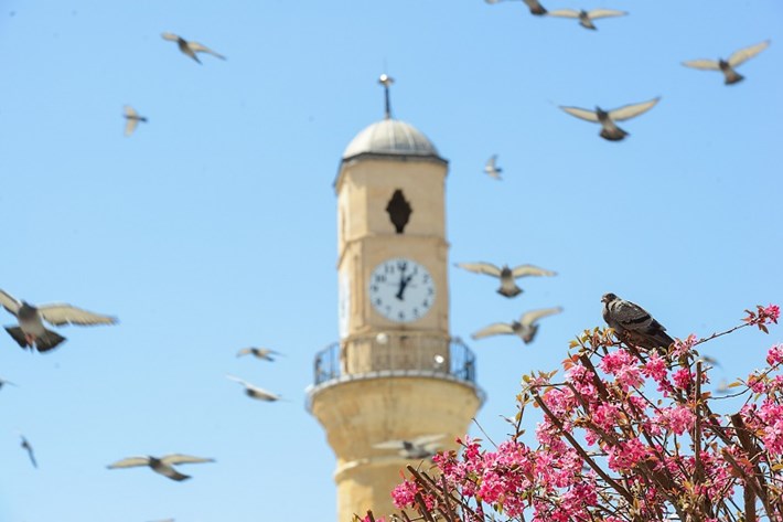 Mansiyon_bahar_Reyhan-Erdem_2700x1800