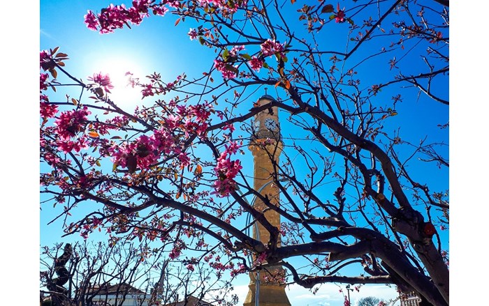 Mansiyon_baharda_saat_kulesi_Ya_mur-Serinci_2401x1800