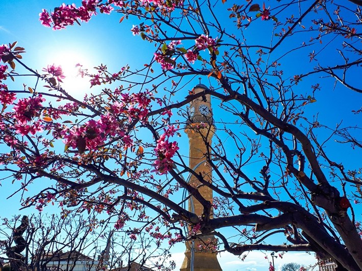 Mansiyon_baharda_saat_kulesi_Ya_mur-Serinci_2401x1800