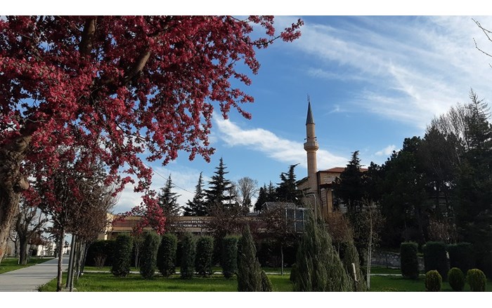 Mansiyon_h_d_rl_k_bahar_Zeynep-Hilal-Y_ld_z_3000x1688