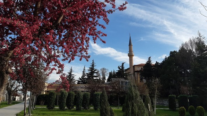 Mansiyon_h_d_rl_k_bahar_Zeynep-Hilal-Y_ld_z_3000x1688