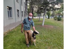 Keçiyi kaçırdılar, yakayı ele verdiler