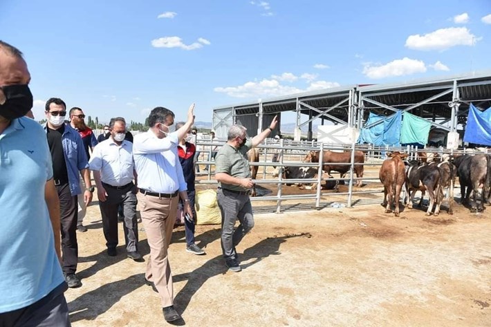 VALİ ÇİFTÇİ VE BAŞKAN AŞGIN'DAN HAYVAN PAZARINDA İNCELEME