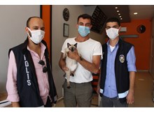 Amasya’da kaybolan kedi Çorum’da bulundu