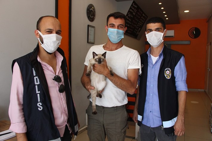 AMASYA'DA KAYBOLAN KEDİ ÇORUM'DA BULUNDU