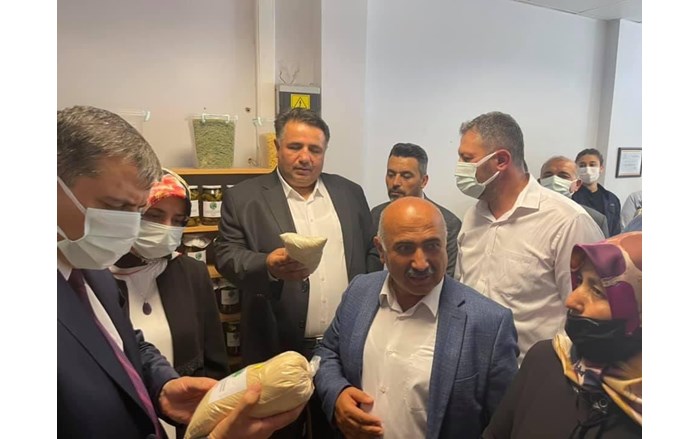 Bayat-kooperatif-4