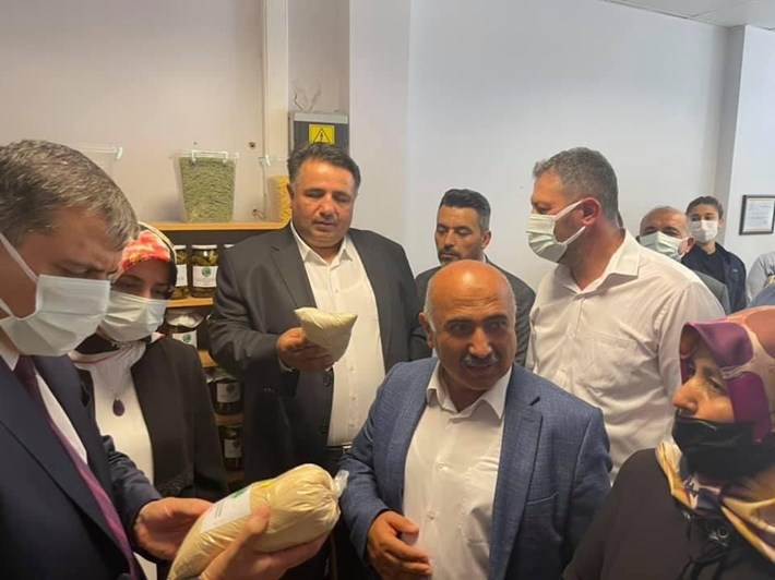 Bayat-kooperatif-4