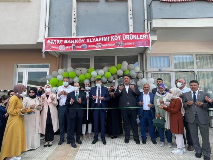 Bayat kooperatif (5)