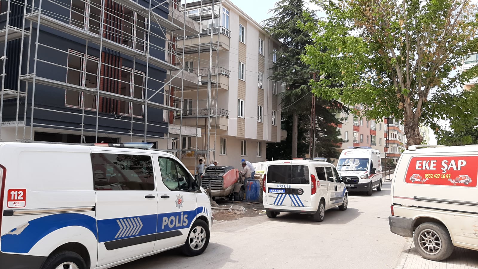 oLEN-GENc-5