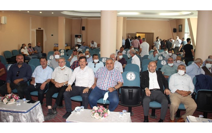ulas-A.s.-Arap-Balli-1
