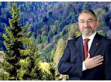 Çorum Belediyesi'nden yangın bölgesine 5 bin fidan