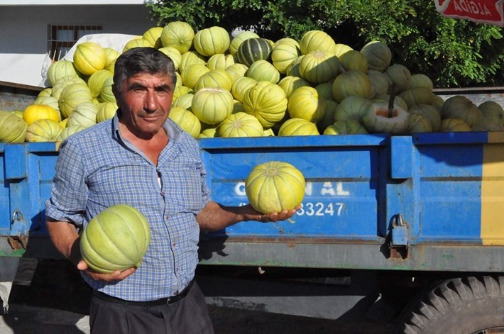 SUNGURLU'NUN 10 DİLİM KAVUNU TEZGAHLARDA YERİNİ ALDI