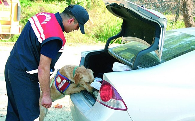 JASAT SUÇ VE SUÇLULARLA MÜCADELESİNİ HIZ KESMEDEN SÜRDÜRÜYOR