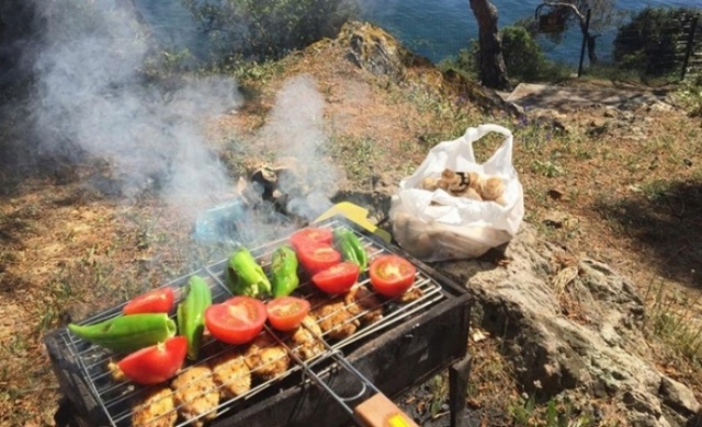 orman piknik