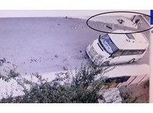 Çorum'da pitbull dehşeti!