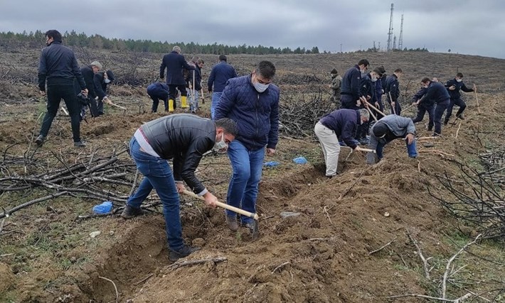SUNGURLU'DA YANAN ORMANLIK ALAN TEKRAR YEŞERİYOR EKMİKÇİ KÖYÜ'NDE YANAN ORMANLIK ALANA 70 BİN FİDAN DİKİLECEK