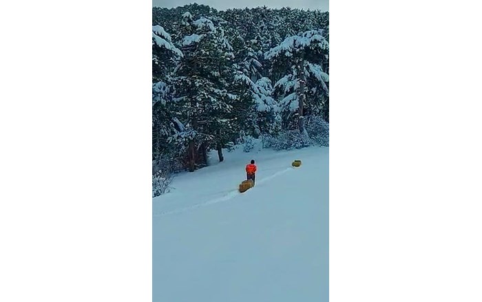 272856862_301707375326516_8552561602141264062_n