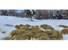 Kargı’da kar kalınlığı 150 cm oldu, yaban hayvanlarına yem bırakıldı