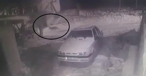 Köye inen kurt kameraya yansıdı