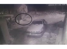 Köye inen kurt kameraya yansıdı