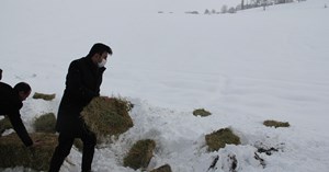 Mecitözü’nde yaban hayvanları için doğaya yem bırakıldı