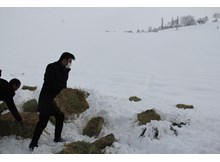 Mecitözü’nde yaban hayvanları için doğaya yem bırakıldı