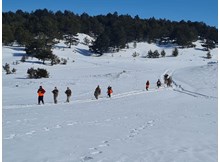 AFAD’tan kış tatbikatı