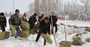 Yaban hayvanları için doğaya 1 ton yem bırakıldı
