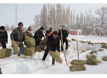 Yaban hayvanları için doğaya 1 ton yem bırakıldı