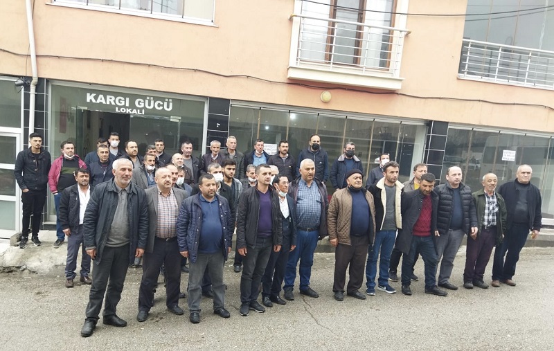 Kargı Orman (2)