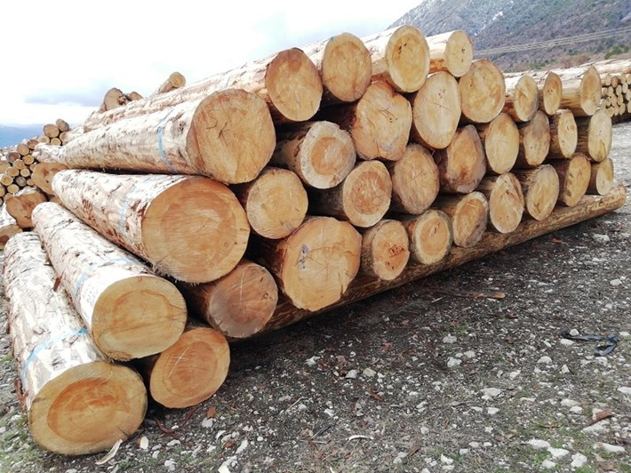 Kargi-Orman-4