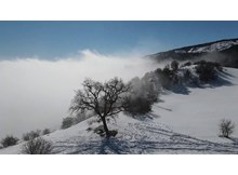 Sis, güneş ve yeşilin ahenkle dansı