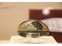 Tarlada bulundu, eşi benzeri yok