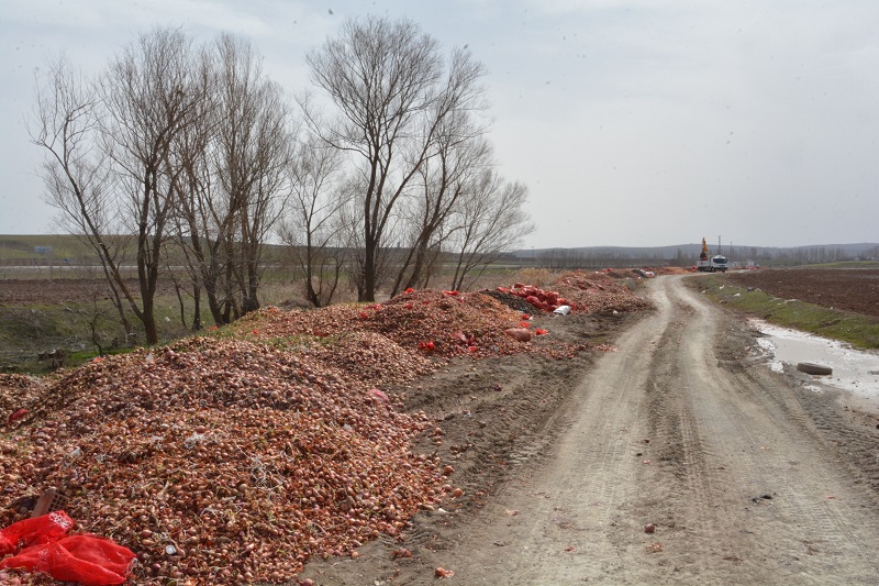 ÇORUM'DA YOL KENARINA DÖKÜLEN TONLARCA SOĞAN HAVADAN GÖRÜNTÜLENDİ YOLA DÖKÜLEN SOĞANLAR BELEDİYE EKİPLERİ TARAFINDAN KALDIRILDI