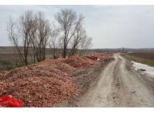 Tonlarca soğan çöp oldu