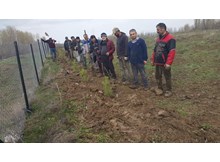 Köy derneği 2 bin adet fidan dikti