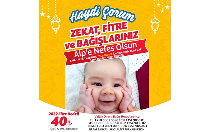 Alp-Afis-2-