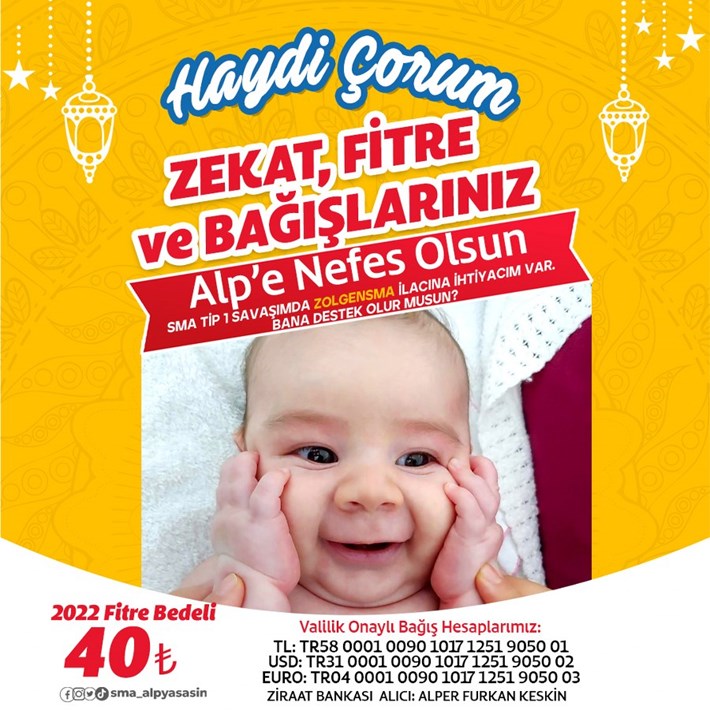 Alp-Afis-2-