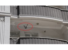 Onlarca kuş telef oluyor