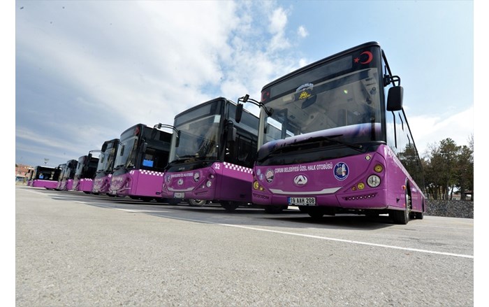 otobusler